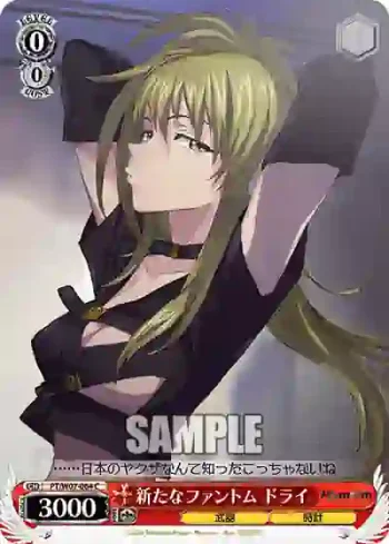 PT/W07-064 C 新たなファントム ドライ