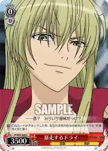 PT/W07-065 C 暴走するドライ