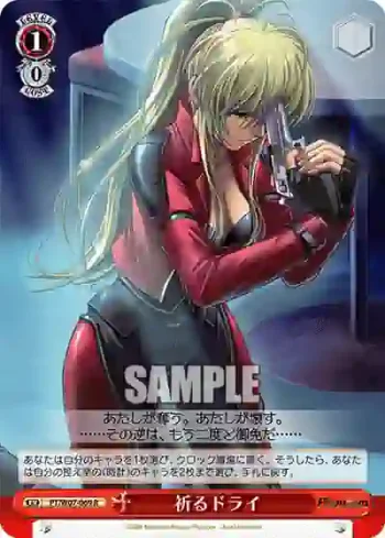 PT/W07-069 R 祈るドライ