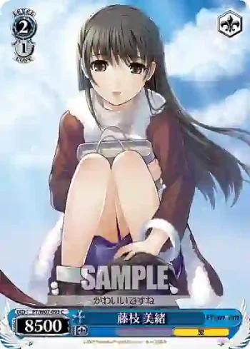 PT/W07-093 C 藤枝 美緒