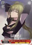 PT/W07-T13 TD 暴走するドライ