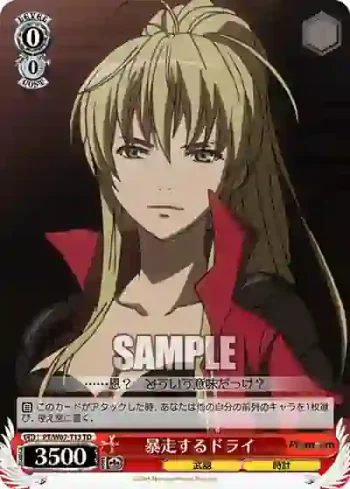 PT/W07-T13 TD 暴走するドライ