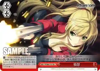 PT/W07-T17 TD 憤怒