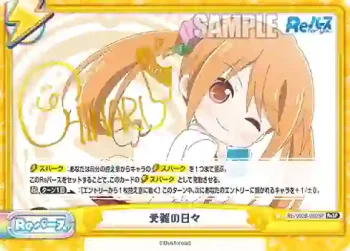 RE/002B-090SP ReSP 受難の日々