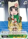 RG/W10-113 PR ウインタースポーツ 黒子