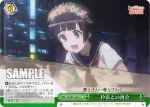 RG/W13-049 CC 衿衣との再会