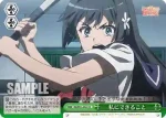 RG/W13-049 CC 衿衣との再会