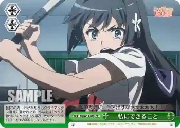 RG/W13-050 CC 私にできること