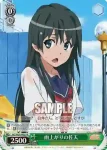 RG/W26-P01 PR 雨上がりの初春