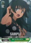 RG/W26-T02 TD “いちごおでん”初春