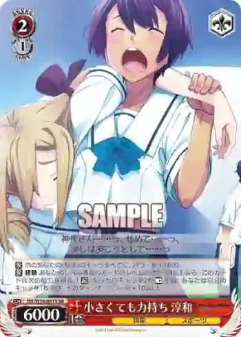 RN/W16-051S SR 小さくても力持ち 淳和
