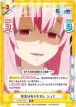 TS/001T-007S TD+ 他意はありません シュナ