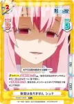 TS/001T-007S TD+ 他意はありません シュナ