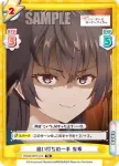 RSDR/001T-013 TD 実の妹 有希