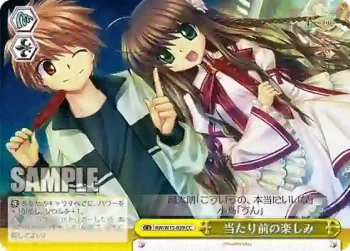 RW/W15-029 CC 当たり前の楽しみ