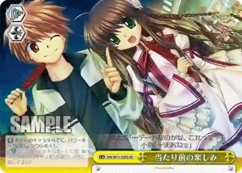 RW/W15-029S SR 当たり前の楽しみ