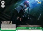 RW/W15-048R RRR 二人きりの世界