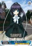RW/W15-095 U 可能性の系統樹