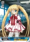 RW/W15-T12 TD 制服の静流