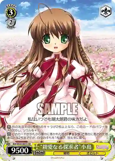 rw_w20_001s RW/W20-001S SR “親愛なる探求者”小鳥