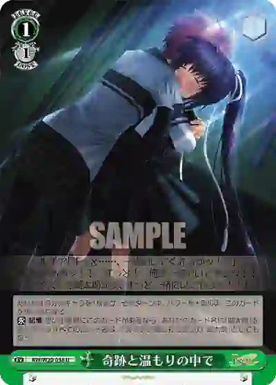 rw_w20_038 RW/W20-038 U 奇跡と温もりの中で