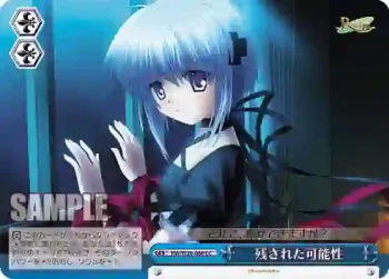 RW/W20-080 CC 残された可能性