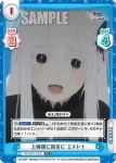 RZ/001B-108 RR 荒療治 ミネルヴァ