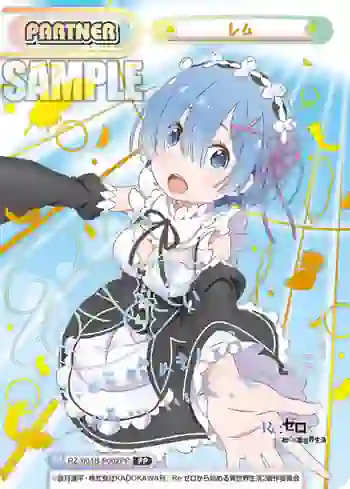 RZ/001B-P002PP PP レム