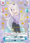 RZ/002T-019 TDR トレーニング！ レム