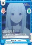 RZ/001T-006 TD 花柄の袴 レム