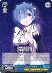 RZ/S46-080 U 激しい怒り パック