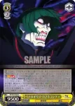 RZ/S55-005 R 呑み込めない状況 フェルト