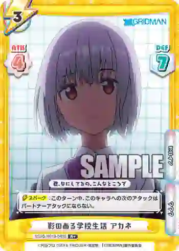 SSSS/001B-040S R+ 影のある学校生活 アカネ