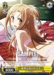 SAO/S20-005 R 着替え中のアスナ