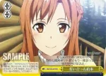 SAO/S20-023 CR 誓い合った約束