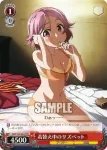 SAO/S20-052S SR 着替え中のリズベット