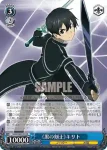 SAO/S20-076S SR 謎の少女 ユイ