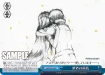 SAO/S20-100 CC 突然の別れ