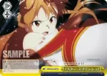 SAO/S20-T06 TD 《スター・スプラッシュ》