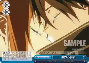 SAO/S20-T13 TD 世界の終焉