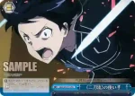 SAO/S20-T14 TD 《二刀流》の使い手