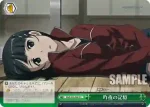 SAO/S26-041 RR 《ケットシー》の少女 シリカ