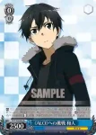 SAO/S26-064R RRR 《ALO》への挑戦 和人