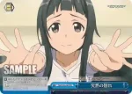 SAO/S26-085 PR 突然の別れ