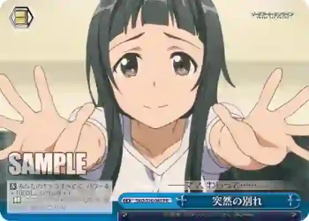 SAO/S26-085 PR 突然の別れ