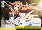 SAO/S47-023R RRR 《絶剣》の最期