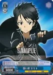 SAO/S47-094 C お怒りシノン