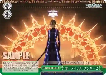 SAO/S51-048 CC オーディナル・ナンバー2