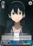 SAO/S51-095 U 調査の報告