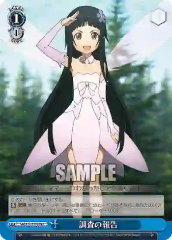 SAO/S51-095 U 調査の報告